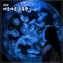 초원수족관 | 삿포로 아오아오 수족관 펭귄 입장료 할인 가격 주차