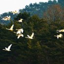 블루마미 이미지