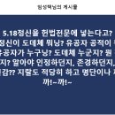 5.18정신을 헌법전문에 넣는다고? 이미지