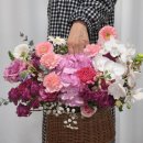 풍년오리박사 | 26년 1월, 2월에 뭐 했냐면,,,