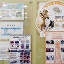 상모동물병원 네이버블로그
