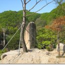 일동갈비 이미지