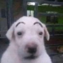 일기상사 | [상사 그놈] 안읽고 독후감 쓰기