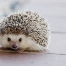 한빛 태권도장 이미지