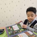 예산유치원 | 영어유치원 졸업 앞두고 솔직 후기 다시 돌아가면 영유 보냈을까?