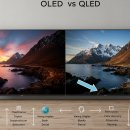 OLED vs QLED 화질 차이, 직접 보면 이렇게 달라요