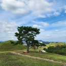 제65차 “유네스코 세계문화유산 – 가야고분군” 답사 진행 공지 이미지