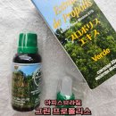 [강력추천] 프로폴리스 원액 추천 – 브라질산이 특별한 이유는? 아피스브라질 그린 프로폴리
