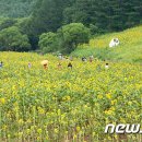 (강릉 사임당 부동산) 열대야 없는 쾌적한 고원지대 '태백' 이미지