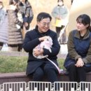 반려마루 동물병원 이미지