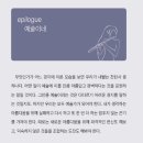 비앤드디자인 네이버블로그