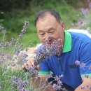 명당농장 이미지