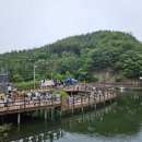 금학 이미지