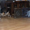 홍대개미롯데백화점스타시티점