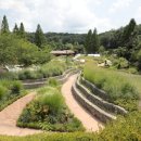 무릉도원 이미지