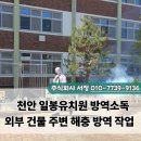 천안일봉유치원 - 8733 | 천안일봉유치원