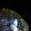 산남스테이 이미지