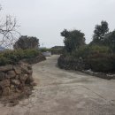 독채민박 이미지