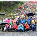 제580차(년15차)충남 금산 서대산 정기산행기록 이미지