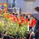 매화정원어린이집 이미지