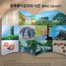 군청로 | 삼국유사의 고장 군위!! 아이와 다녀온 따뜻한 삼국유사군위도서관 후기