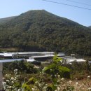 실로암농장 이미지