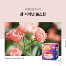 후쿠오카 여행