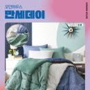 세이브하우스 이미지