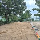 길곡초등학교 이미지