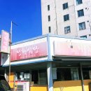 정화여행 | 강릉 당일치기 먹방 여행 (정화식당 오징어볶음 솔직후기 + 경포해수욕장 + 횟집까지)