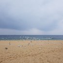 슈밍게스트하우스 이미지