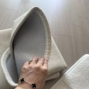 몽이랑 | 몽이도 좋아한 먼지없는러그 | ONGYEOL 워셔블러그 거실카페트추천 방수러그 사용 후기