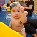 애기똥풀 | 은평 이마트 문화센터 애기똥풀 여름학기 수업 참여 찐 후기 (7개월~10개월)