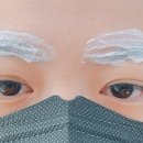 오늘도빛나는눈썹