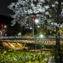 외국인이 access한 사진. 630. 이미지