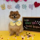 제제네 멍치원 이미지