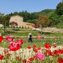 봉화농장 이미지