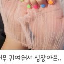 오투네일 이미지