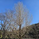 향이 있는 차와 다식 이야기(만들기) | 2025. 12. 3. 수. <경남권 인문열차> 1일차: 선비탐방/선비다례/선비간찰/선비풍류 후기 in 영주 한국...