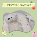 [제이앤제나] 역류방지쿠션 국민템, 드디어 구매..!