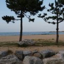천학정 민박 네이버블로그