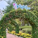 유성구청 버스정류장 이미지