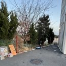 윤정농장 | 서생나사리간절곶맛집 울산생면파스타맛집 간절곶 마실감