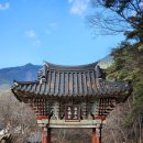 터미널 동아약국 앞 교통섬 | 여행덕후의 2025년 상반기 여행 결산(국내 3회, 해외 5회)