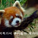 와방 이미지