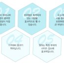케이라인의원 네이버블로그