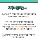 냥냥펀치 이미지