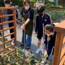 부산진여자중학교 이미지