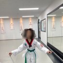 용인대해오름태권도장 이미지