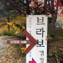 핏들캠핑장 | 🍁 가평 브라보캠핑장 후기│11월 단풍 감성, 깔끔한 시설, 넉넉한 사이트의 가을 캠핑